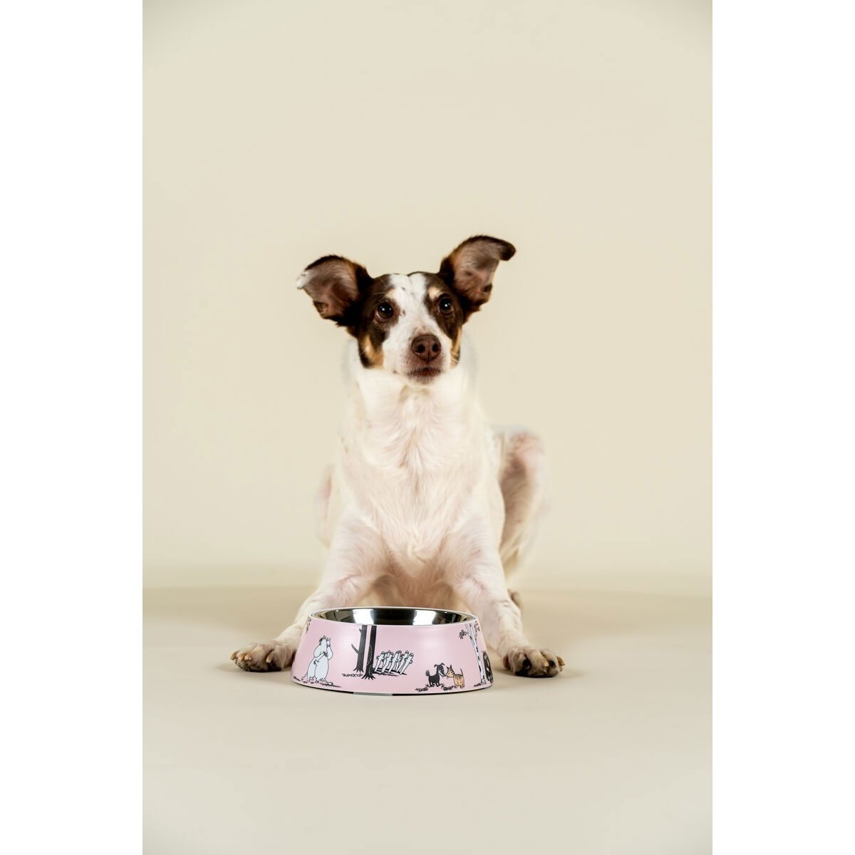 Moomin for Pets bowl 2024