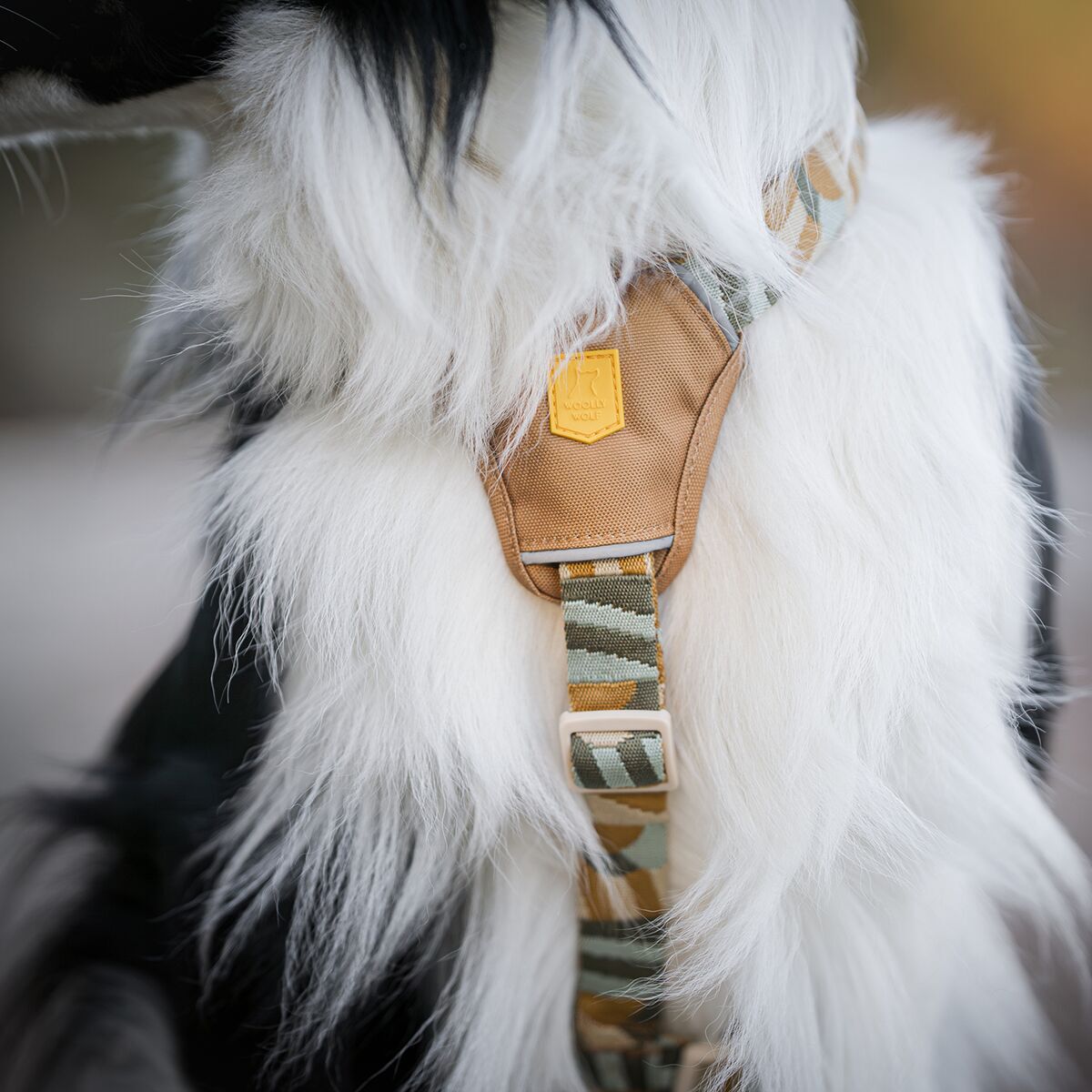 Woolly Wolf Cloudbeam Harness