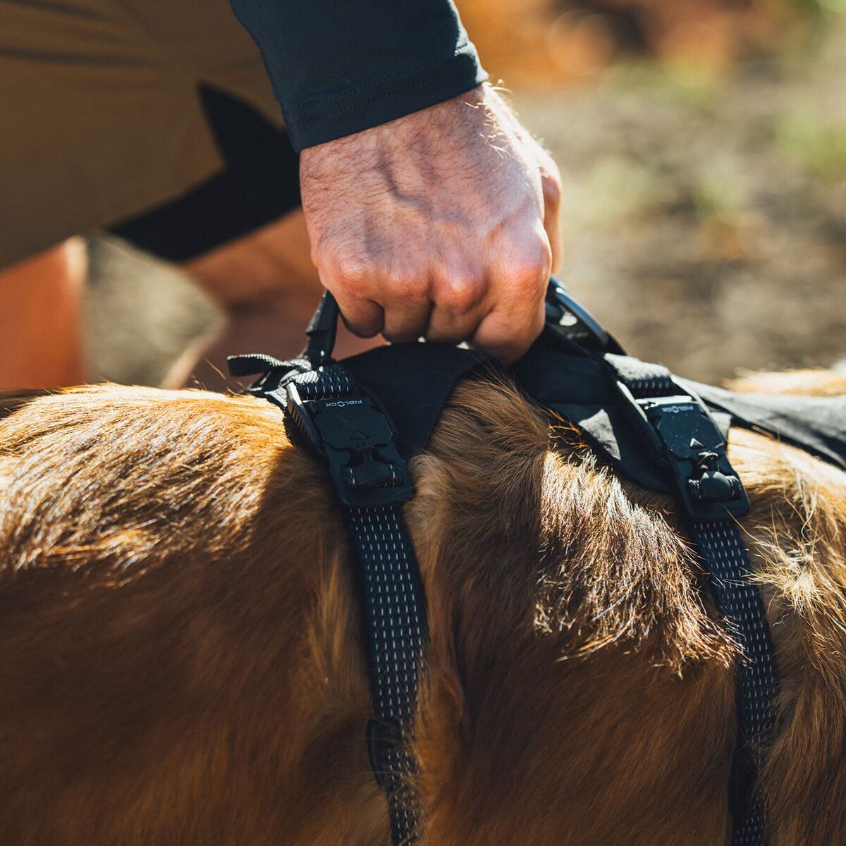 Ruffwear Ridgeline Harness Obsidian Black