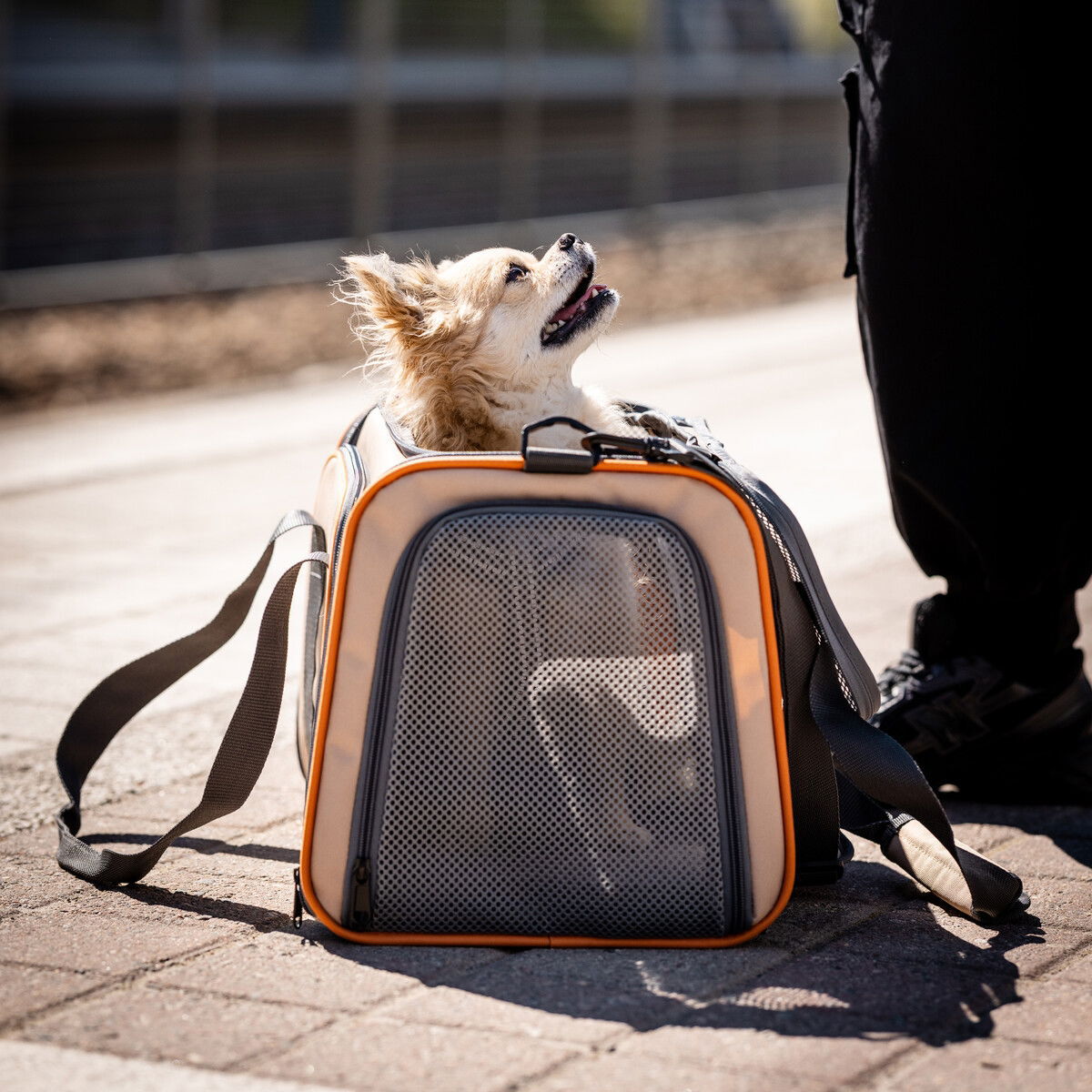 Feel Active Tour travel carrier with two expandable sides beige