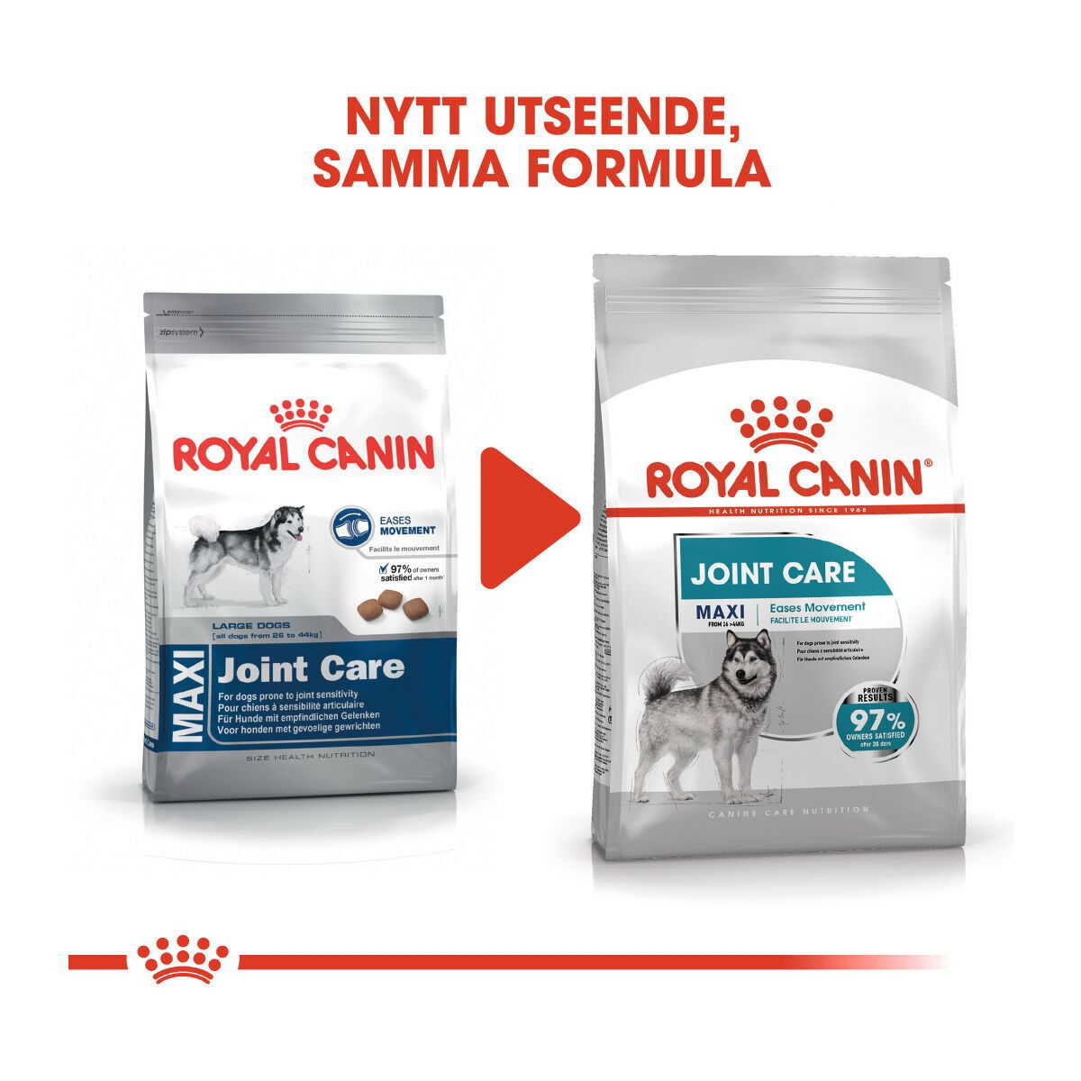 Royal Canin Maxi Joint Care
