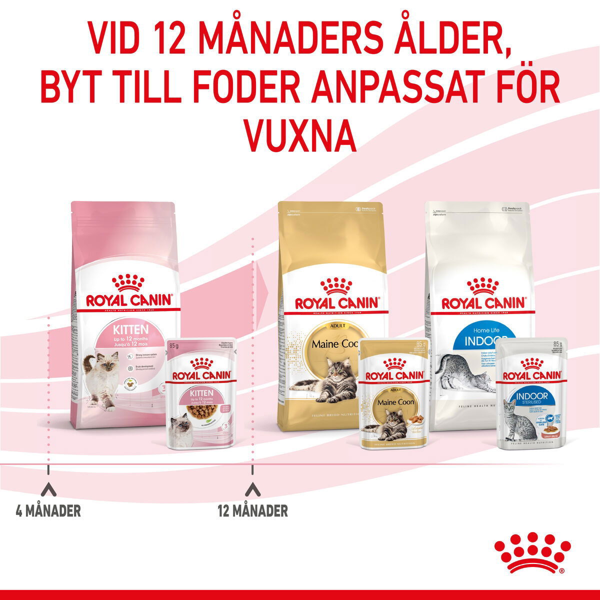 Royal Canin Kitten Gravy våtfoder för kattunge