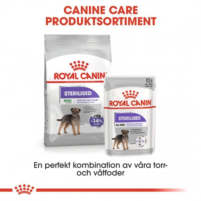 Royal Canin Mini Sterilised Adult