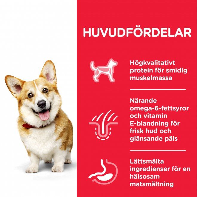 Hill's Science Plan Dog Adult Small & Mini