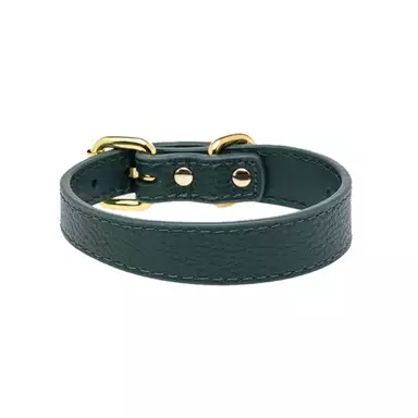 Kampanj Collar of Sweden Smalt Hundhalsband Mörkgrönt