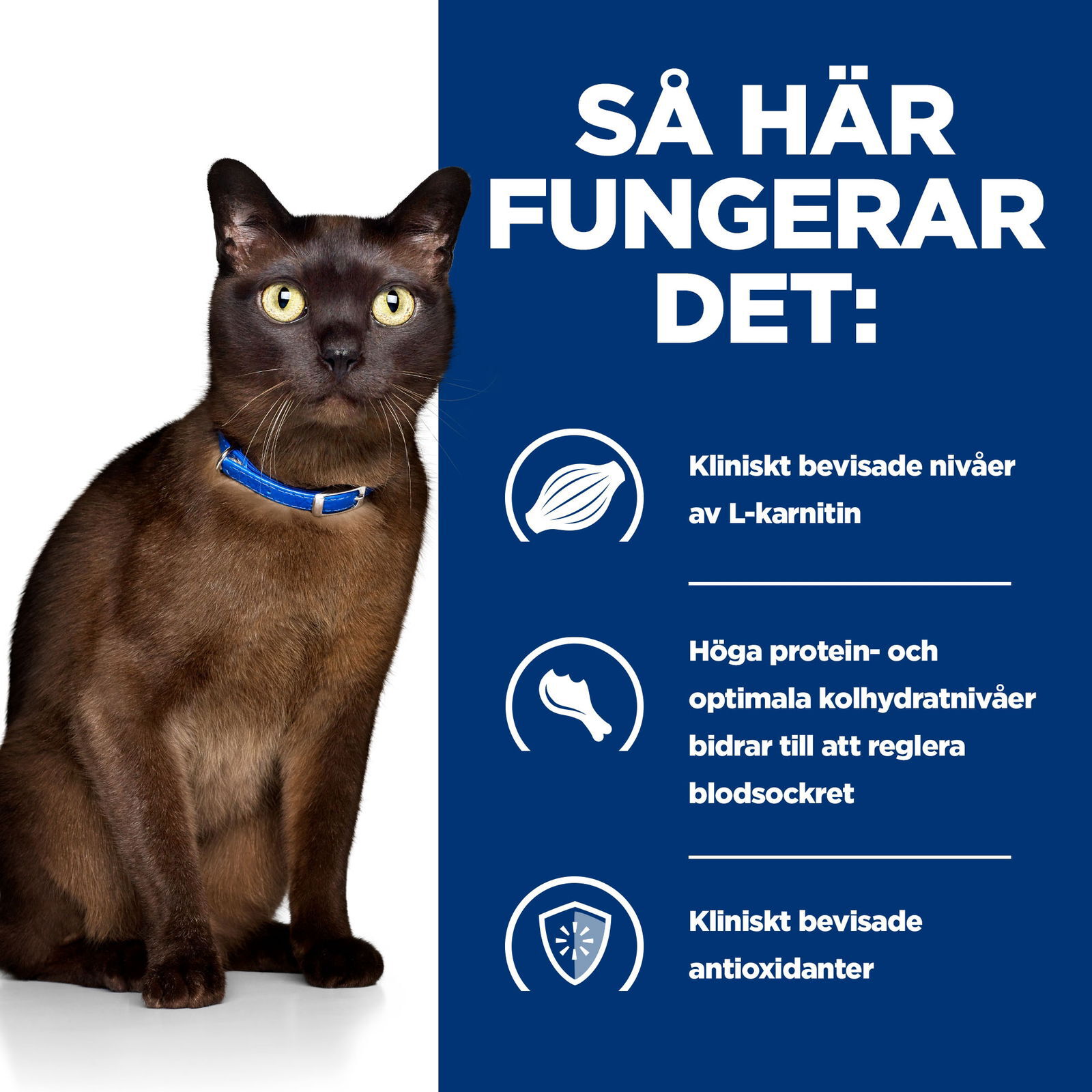 Hills Diet Cat m/d 1,5kg