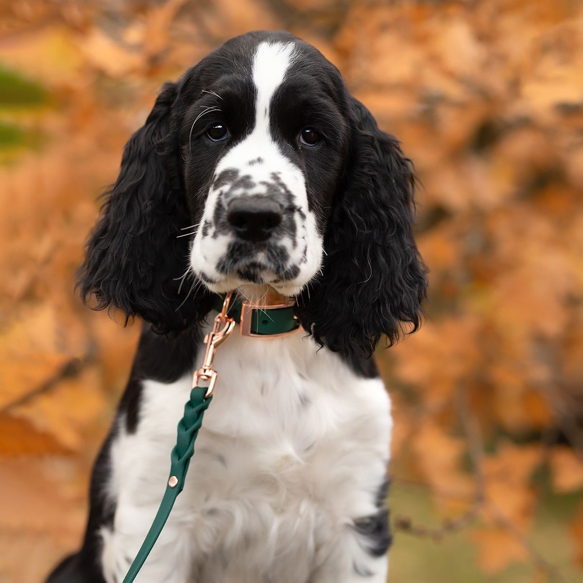 Tyylivoitto Classy narrow collar, emerald