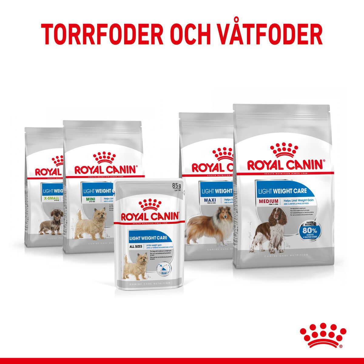 Royal Canin Light Weight Care Adult Loaf våtfoder för hund