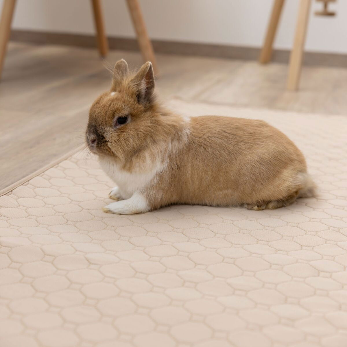 Kerbl Washable Urine Pad 140x100cm