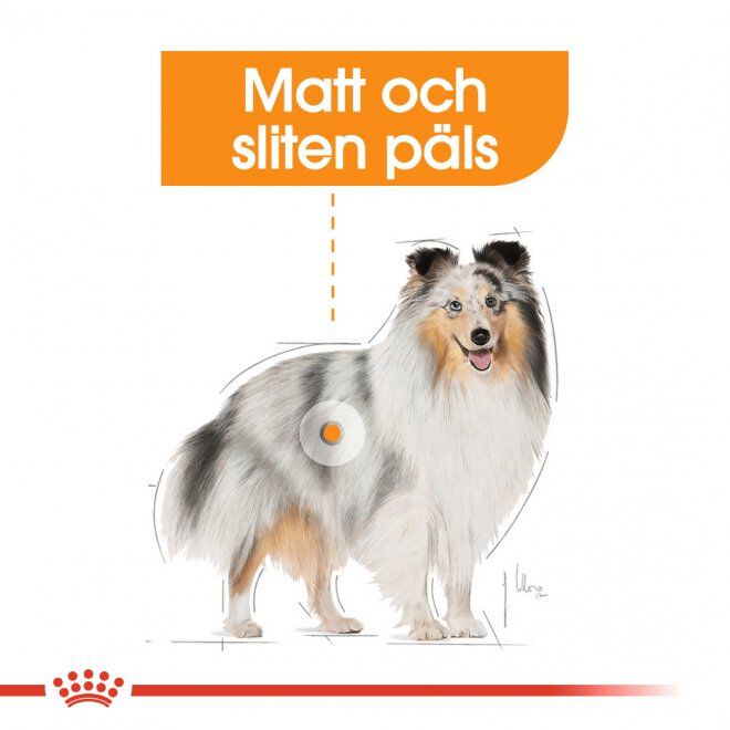 Royal Canin Coat Care Adult våtfoder för hund
