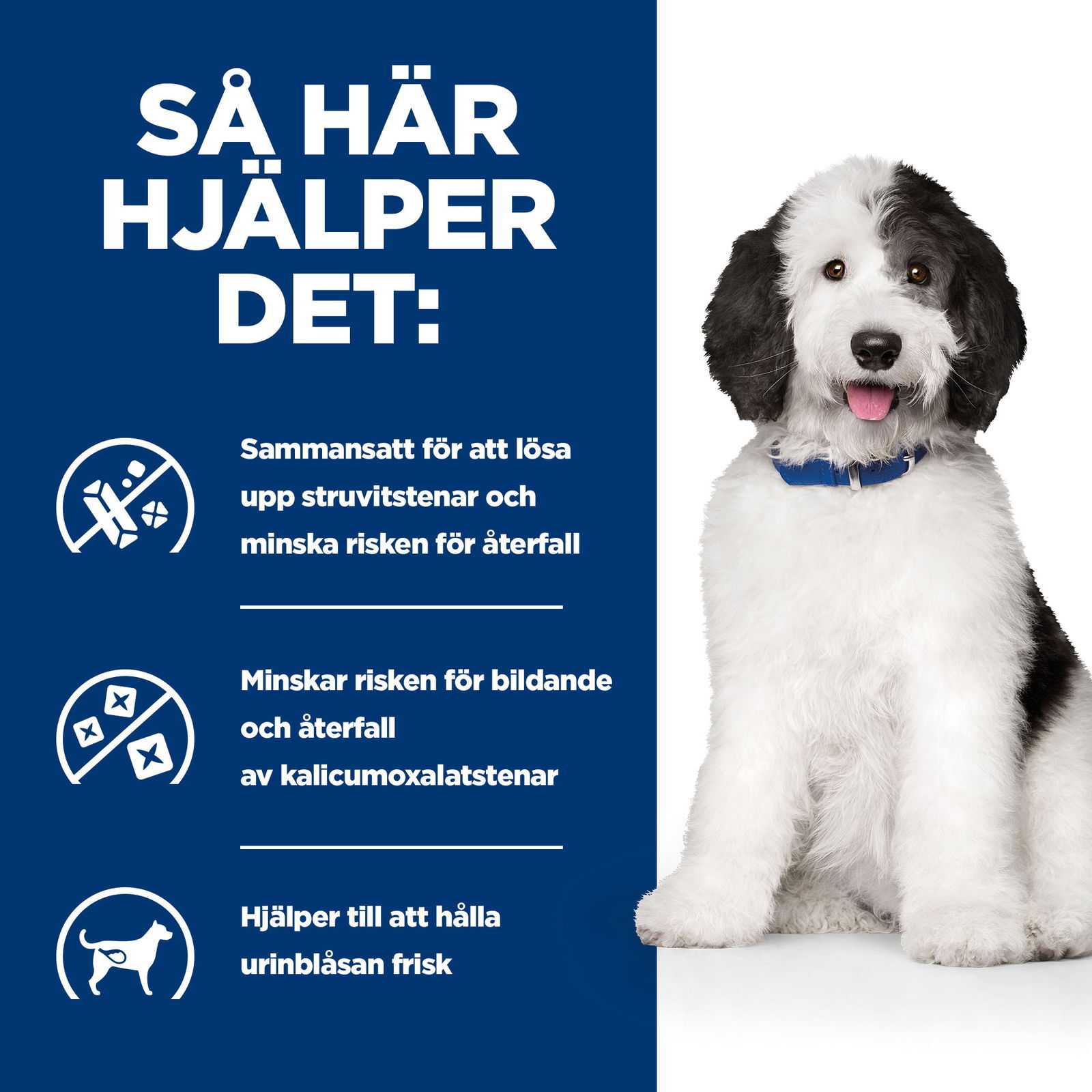 Hills Diet Dog c/d Multicare