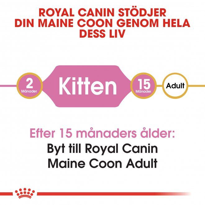 Royal Canin Maine Coon Kitten torrfoder för kattunge