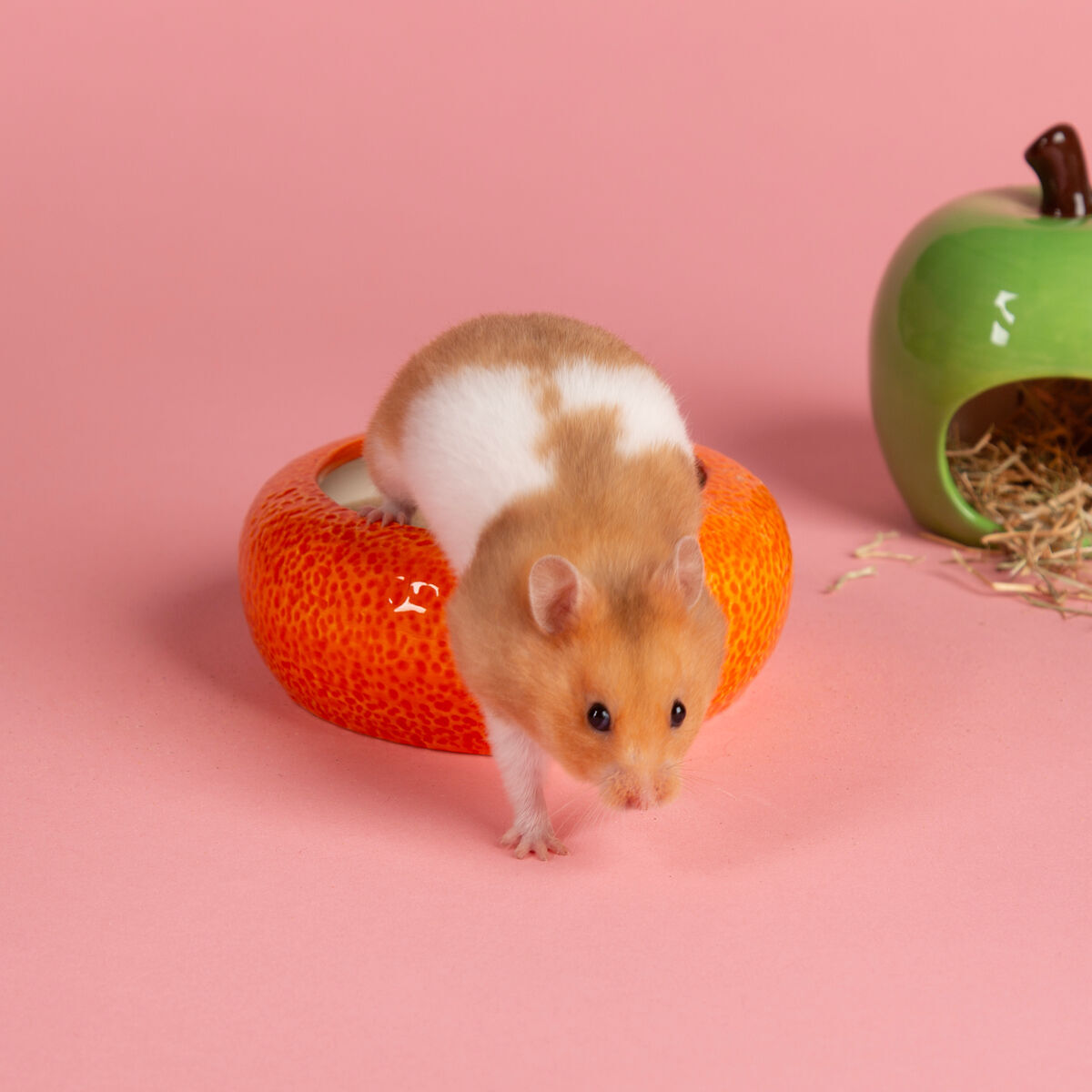 Scruffs Small animal Fruit Ceramic Set