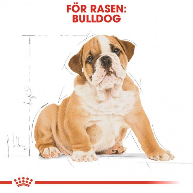 Royal Canin Bulldog Puppy torrfoder för hundvalp