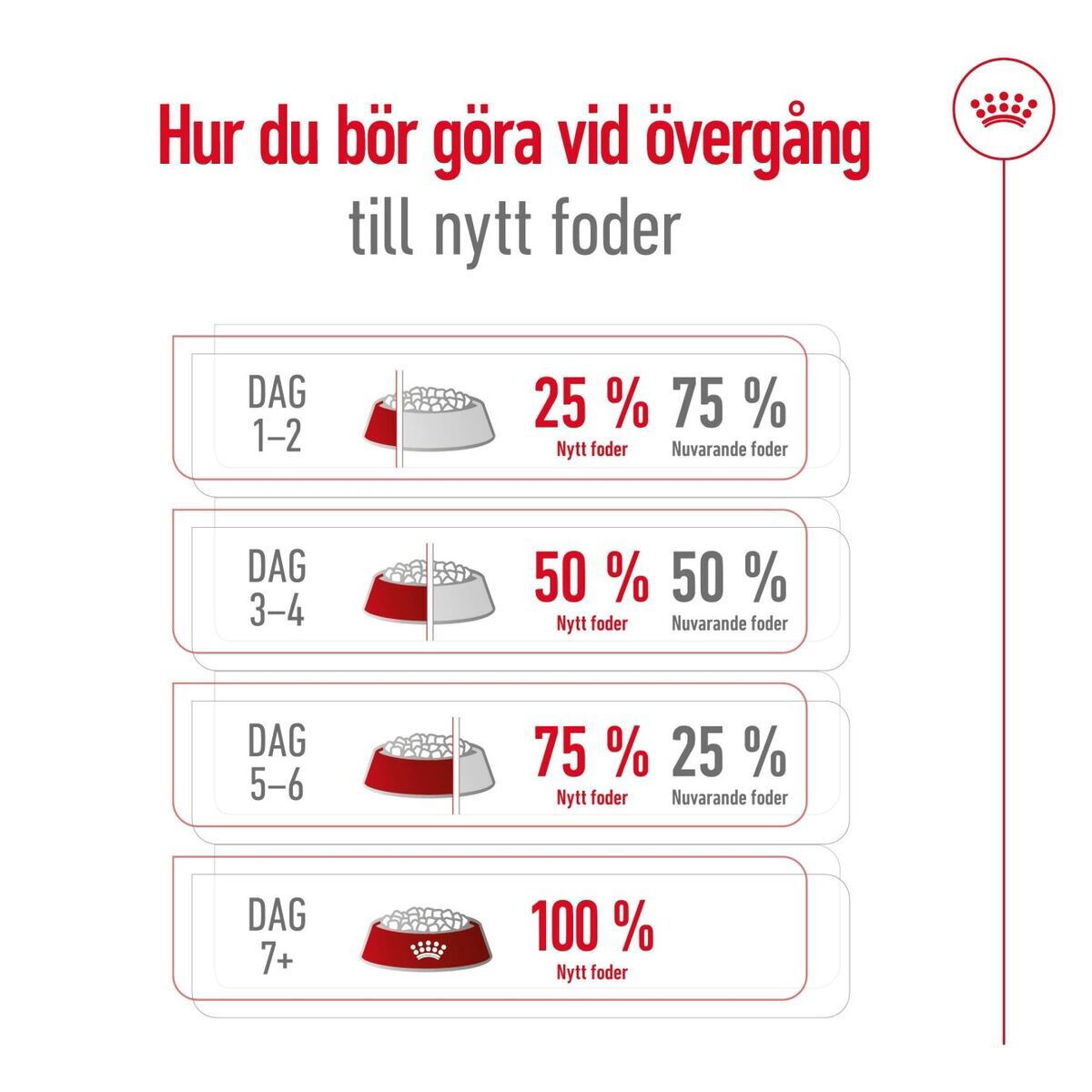 Royal Canin Mini Adult 8+ torrfoder för hund