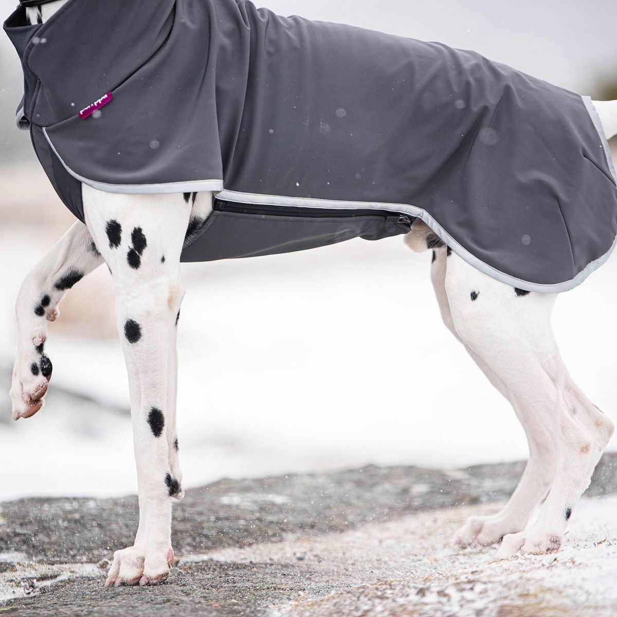 SporttiPomppa Graphite