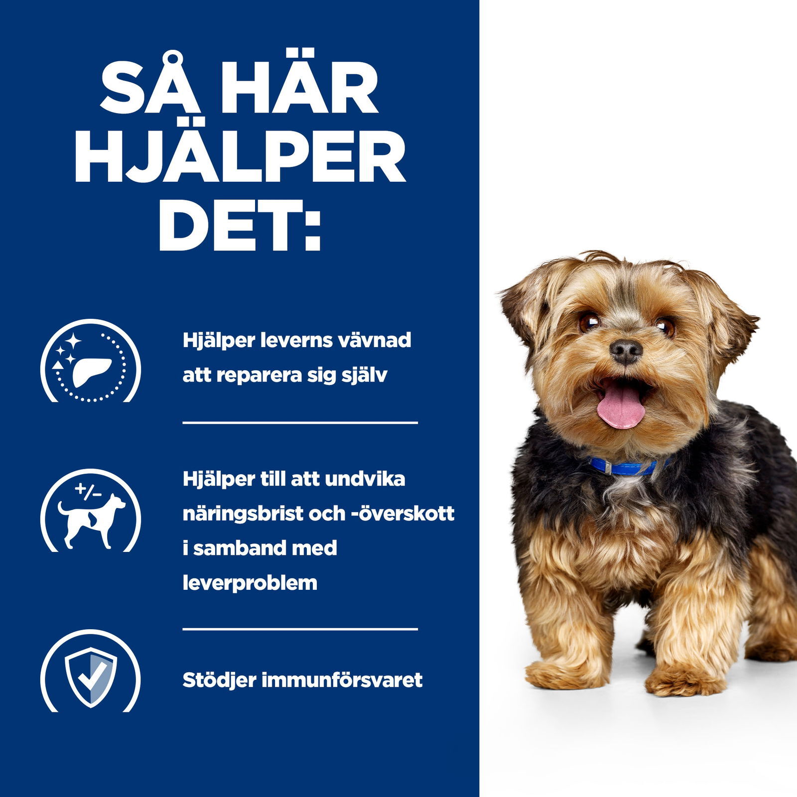 Hills Diet Dog l/d