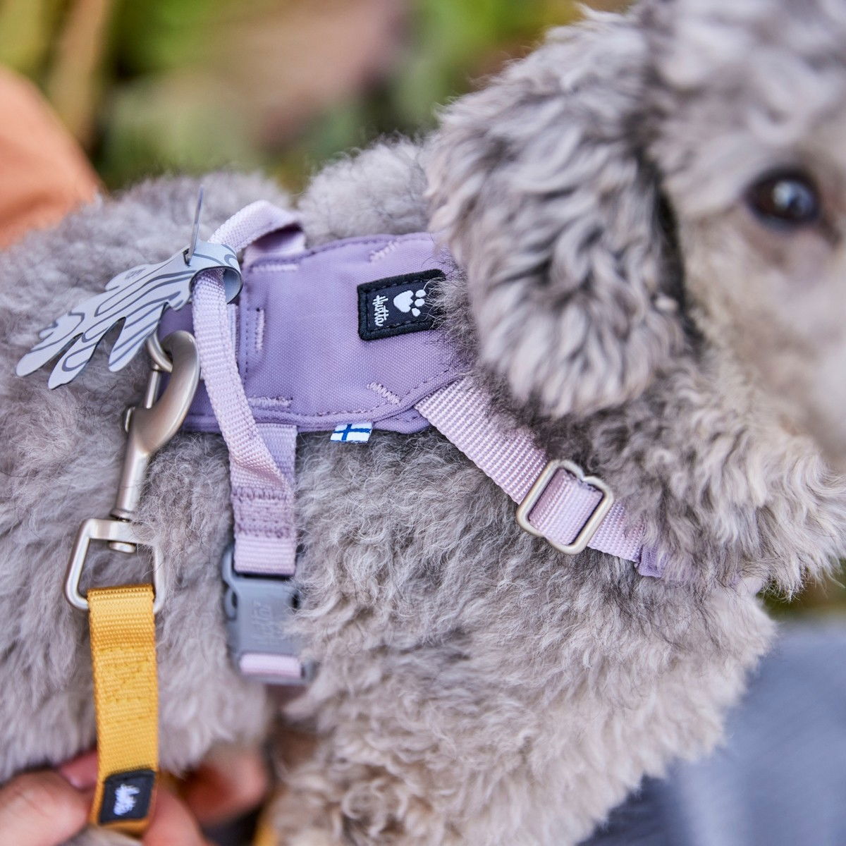 Hurtta Seeker harness lavender