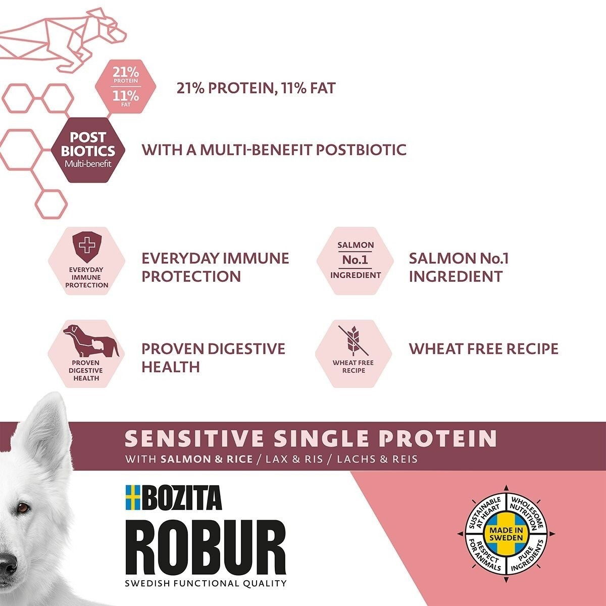 Robur Adult Sensitive Single Salmon