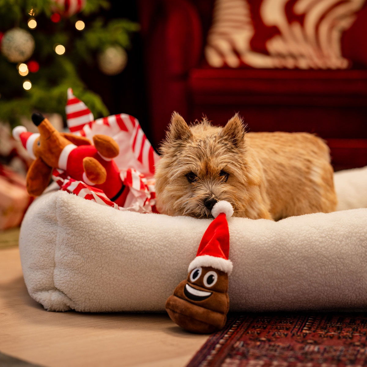 Little&Bigger Seasons Classics Xmas-poop