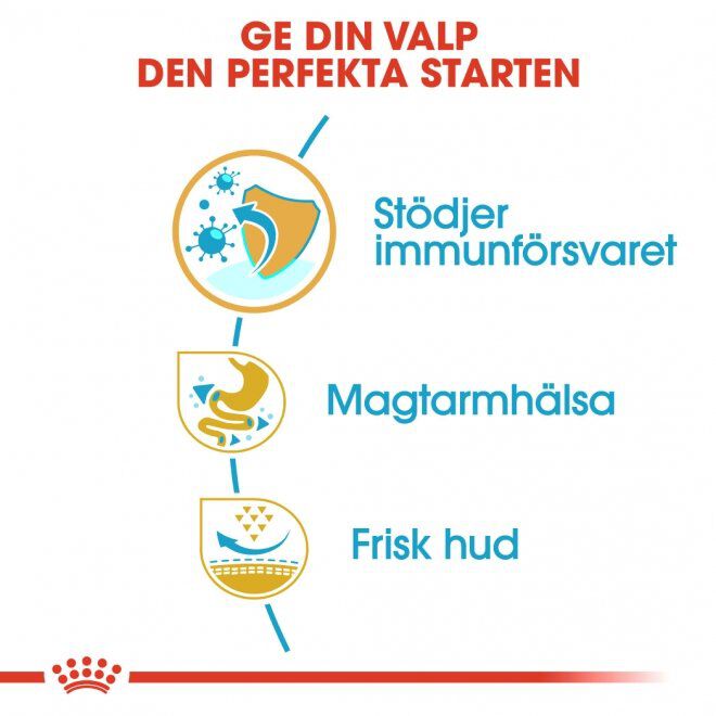 Royal Canin French Bulldog Puppy torrfoder för hundvalp