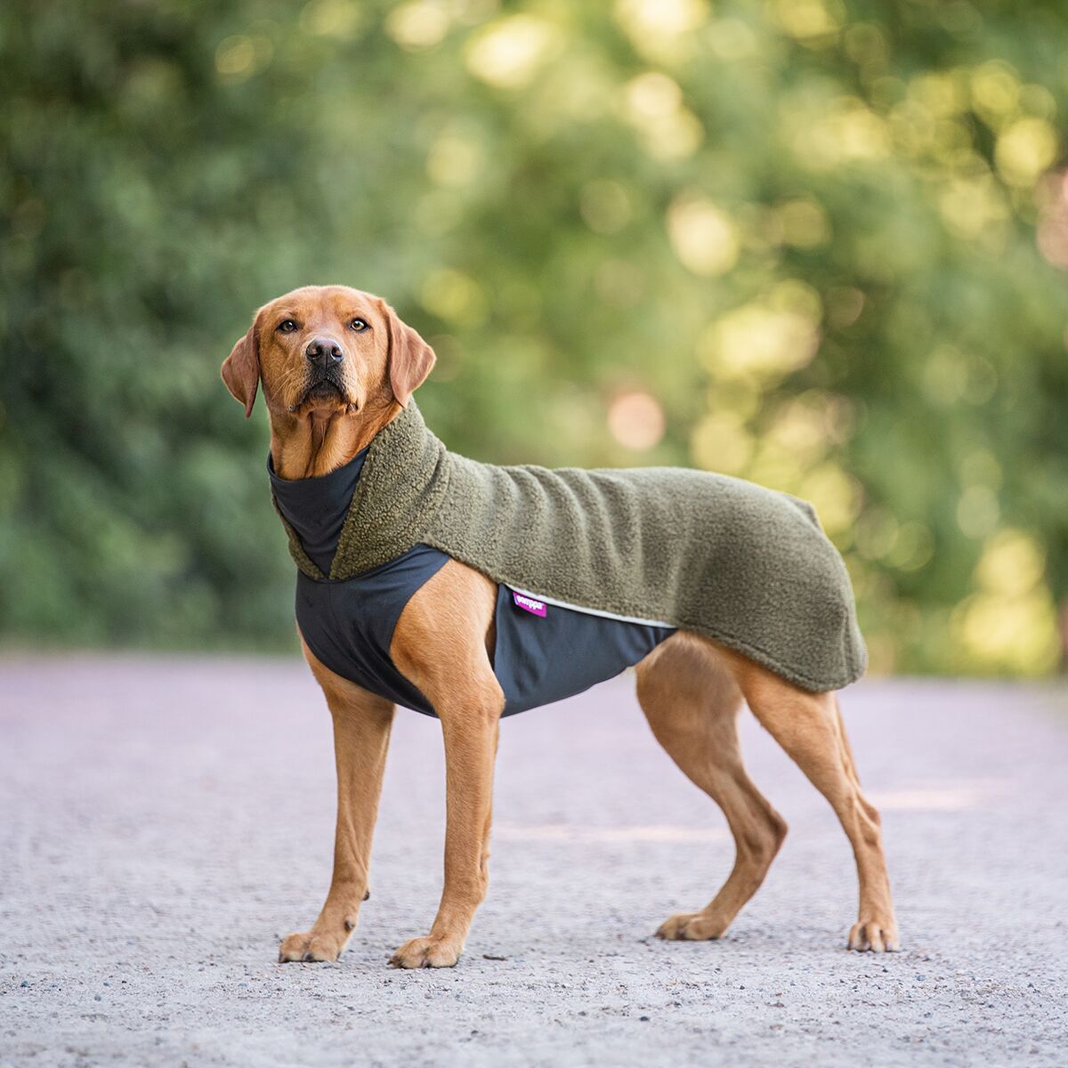 Pomppa Polar Fleecetäcke till Hund Olive