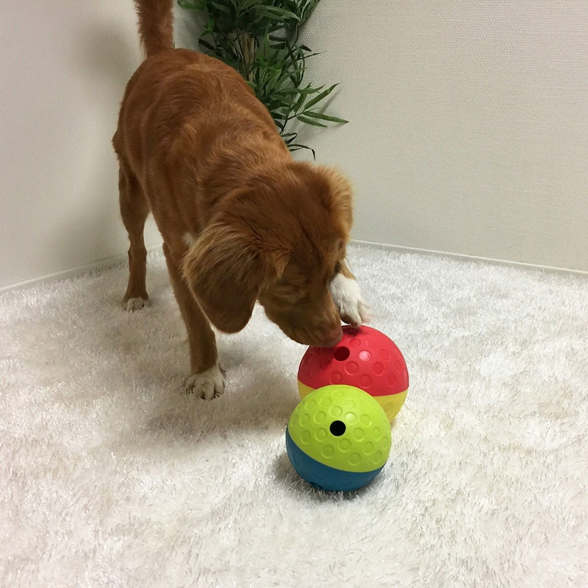 Nina Ottosson Treat Tumble Röd 13 cm