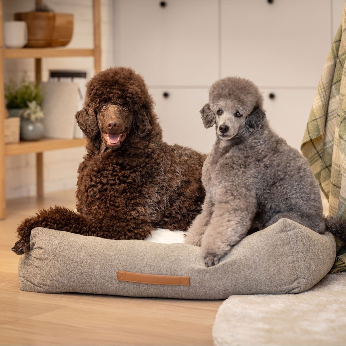 Basic WellB orthopedic bed lichen