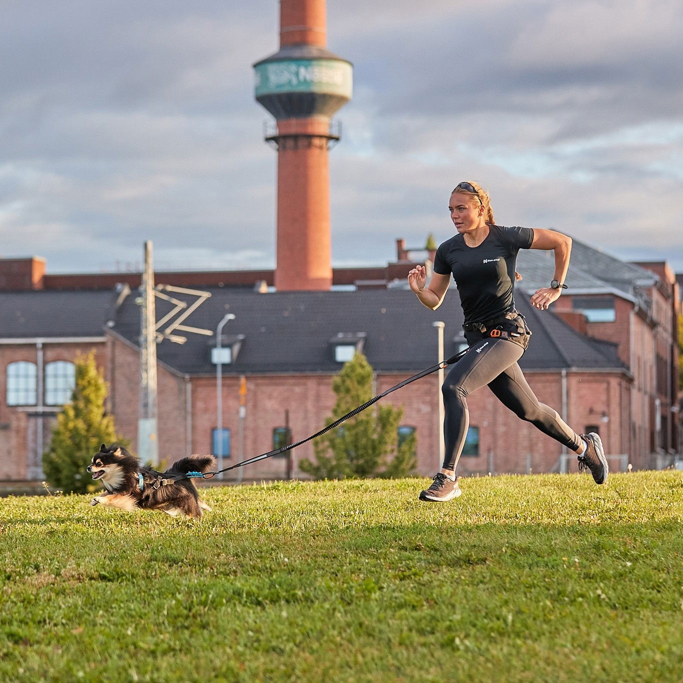 Non-stop Touring Bungee Leash