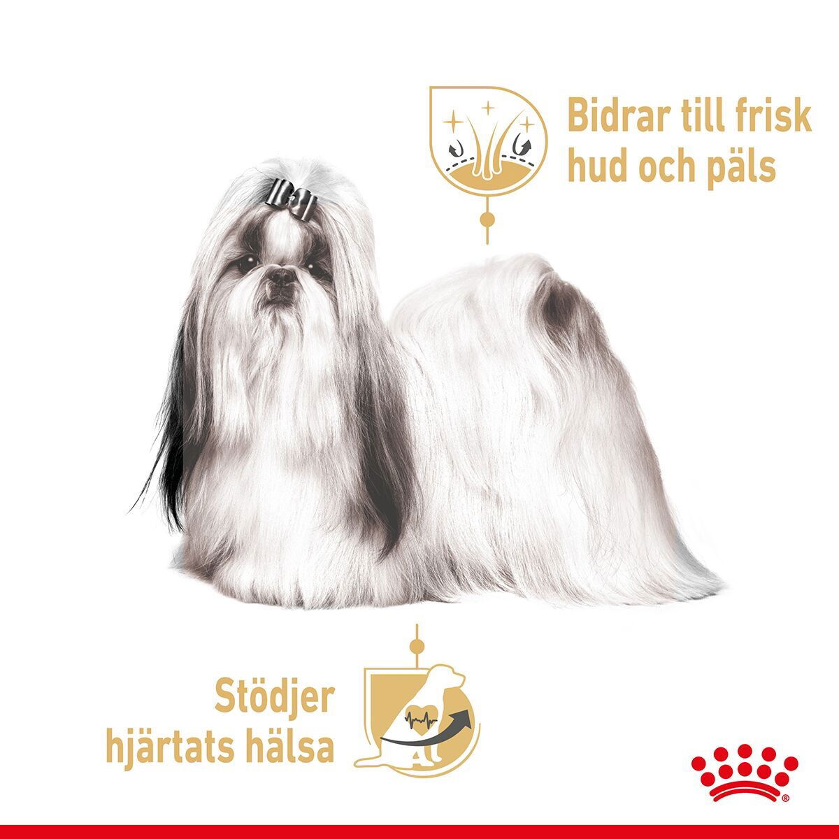 RC Breed Shih Tzu WET 12x85g