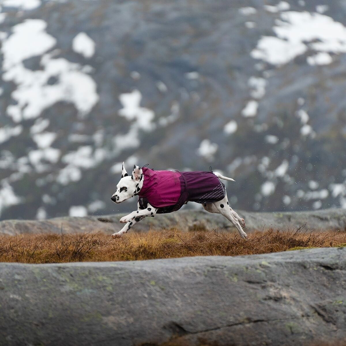 Non-Stop Fjord raincoat, purple