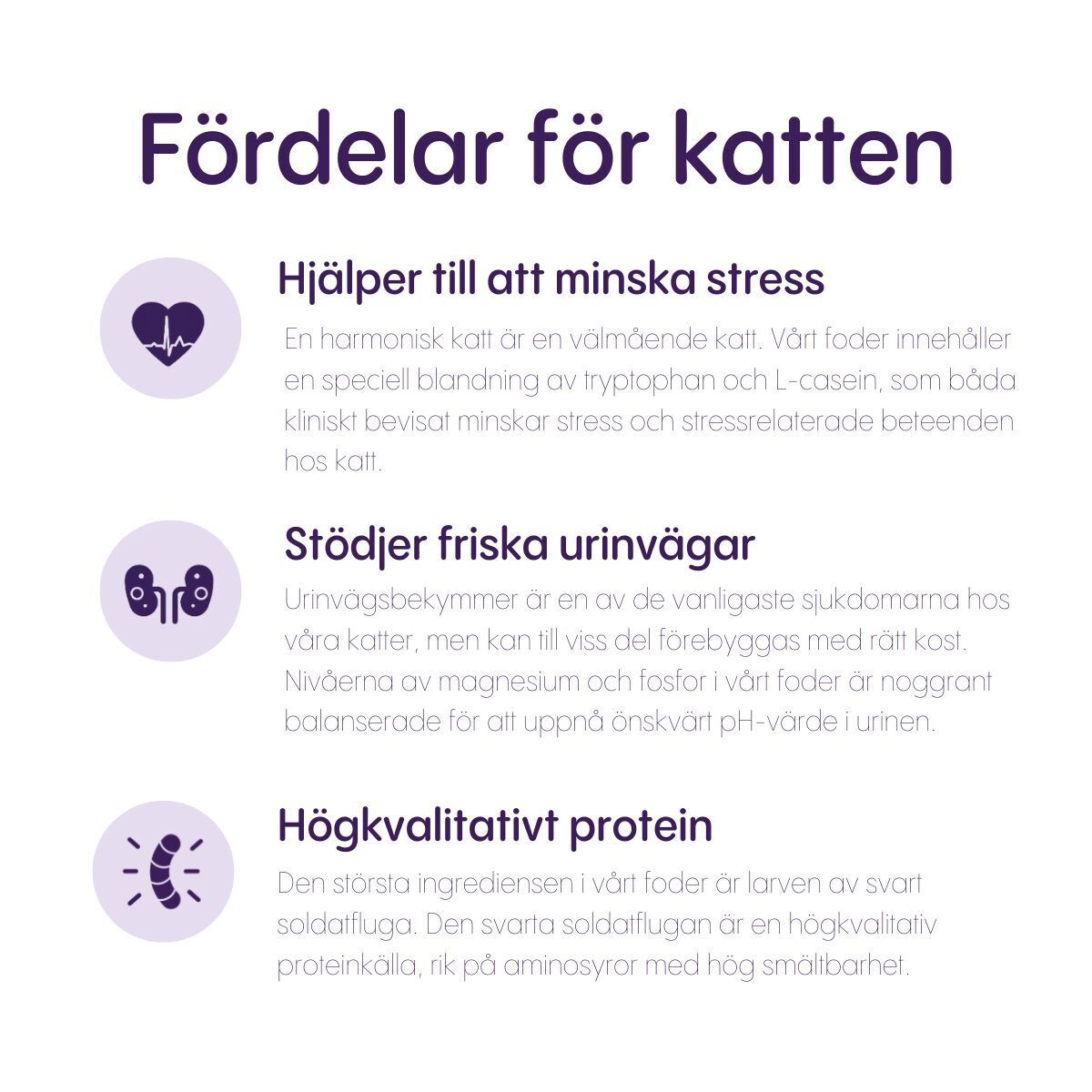 Petgood insect-based cat food adult