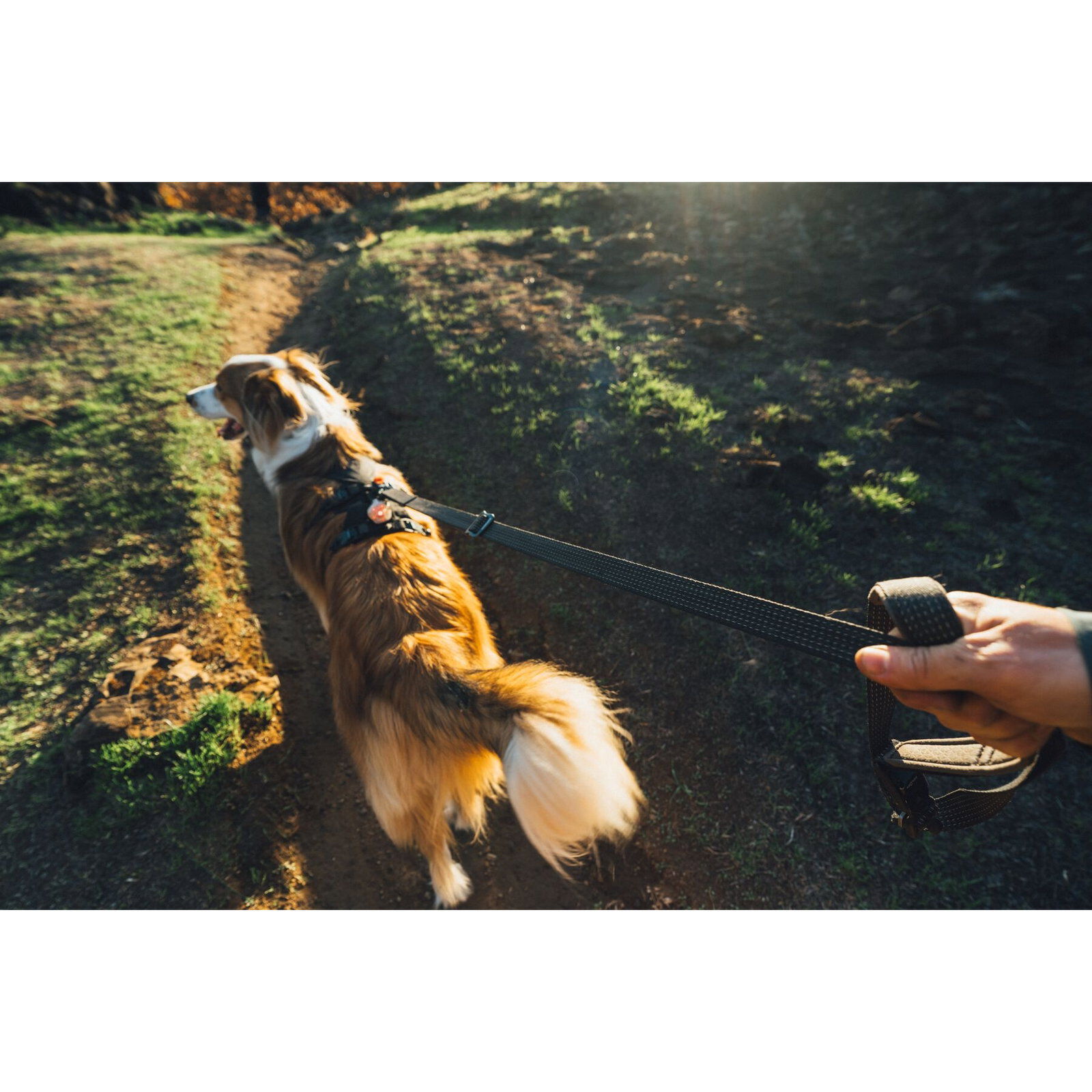 Ruffwear Ridgeline Harness Obsidian Black