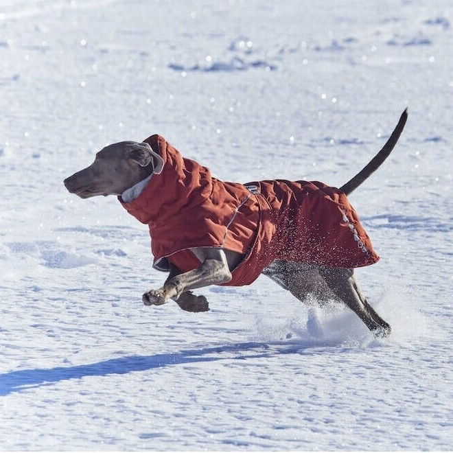 Hurtta Extreme Warmer III ECO cinnamon