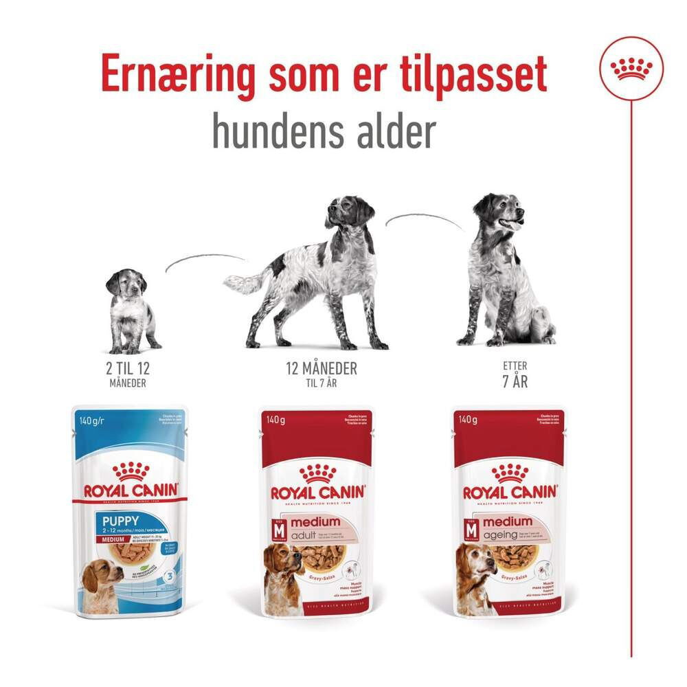 Royal Canin Medium Ageing Gravy våtfoder för hund