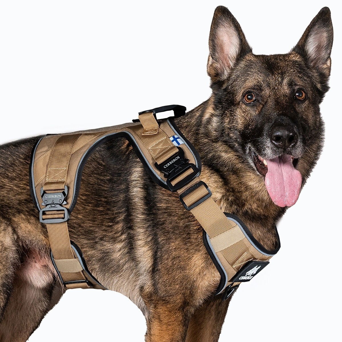 Cerberos Active harness Desert Brown
