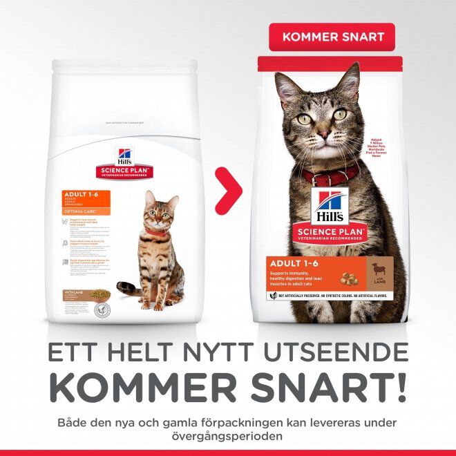 Hill's Science Plan Cat Adult Lamb & Rice