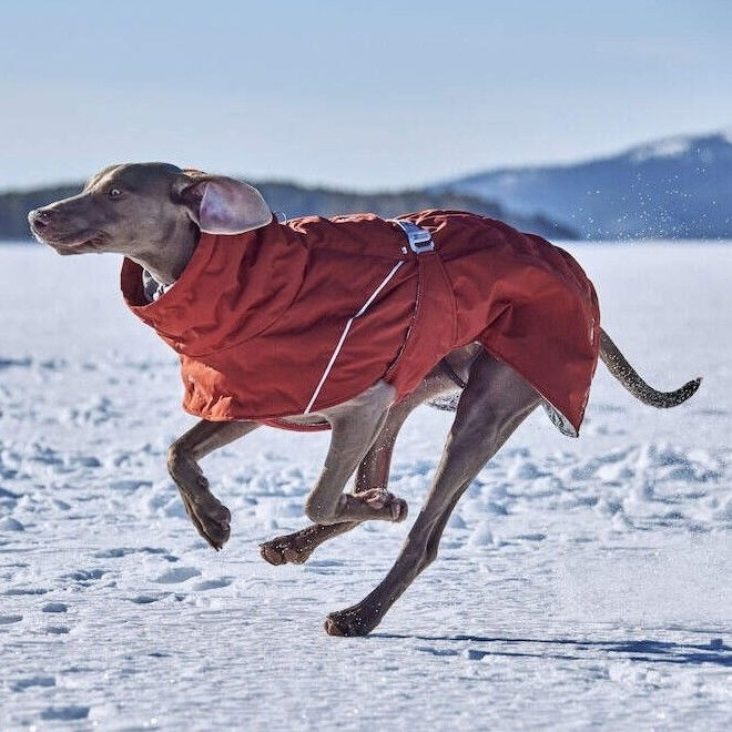 Hurtta Extreme Warmer III ECO cinnamon