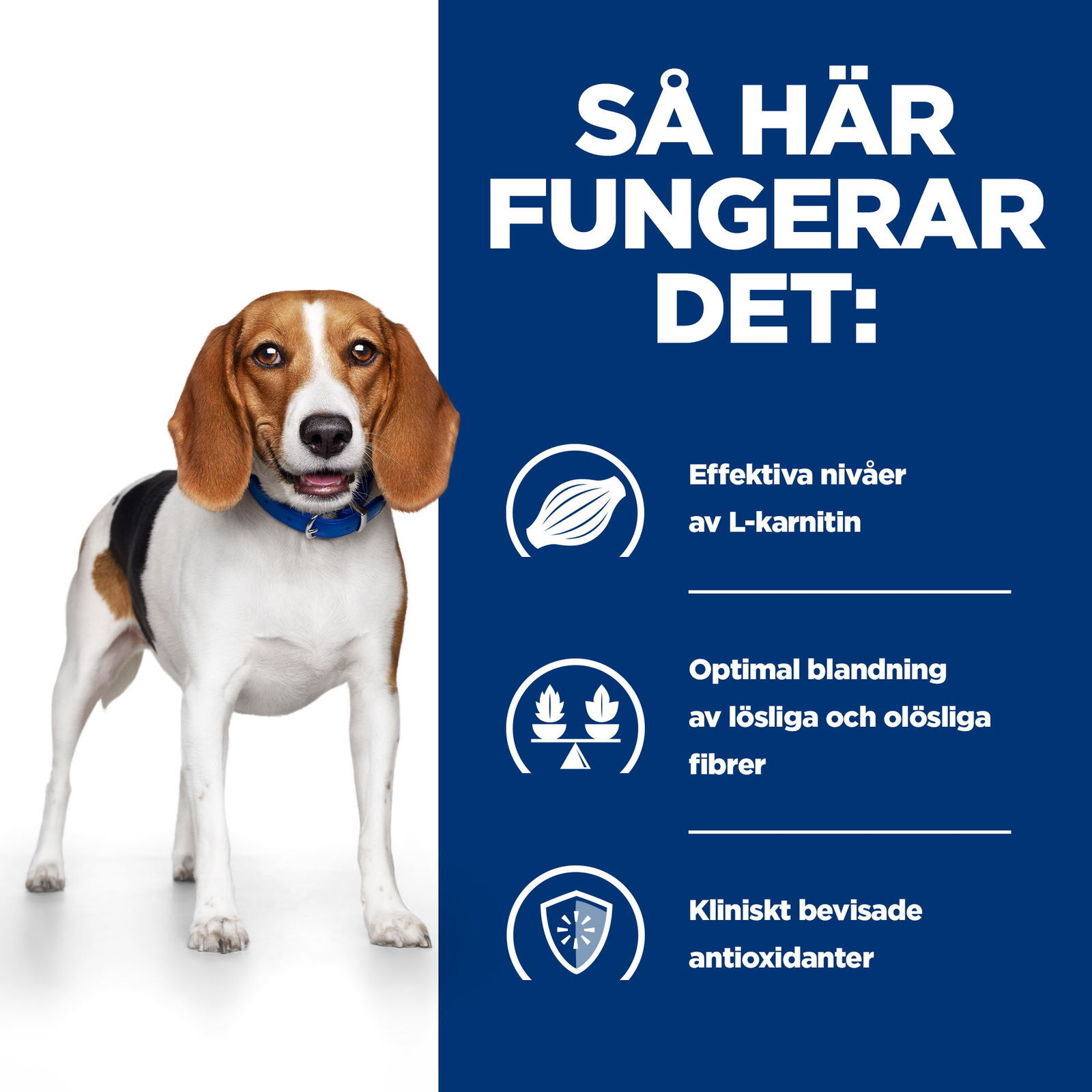 Hills Diet Dog r/d