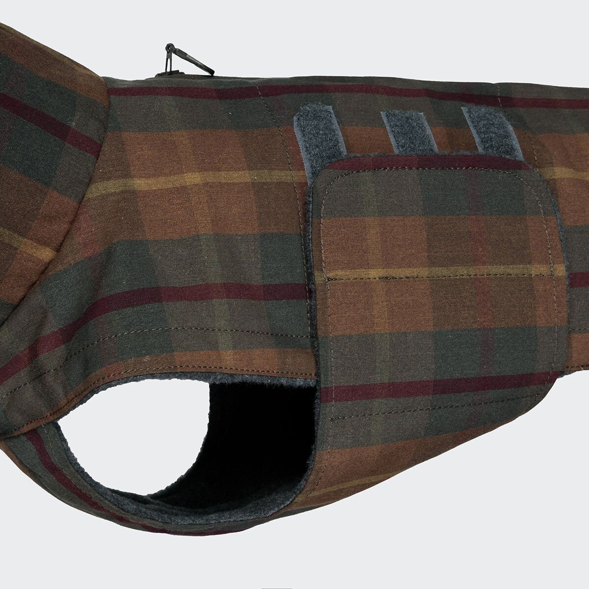 Cloud7 Dachshund Brooklyn, Waxed Tartan