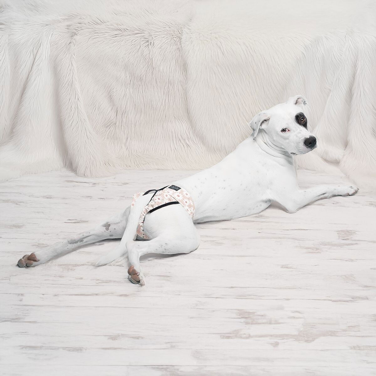 RuttuNuttu heat pants wraparound, daisies beige