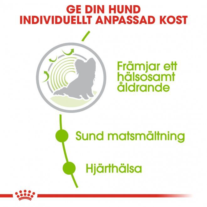 Royal Canin X-small Ageing 12+ torrfoder för hund