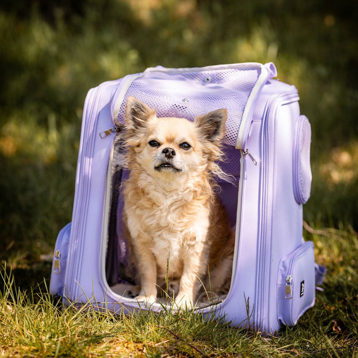 Feel Active Tour expandable backpck lavender