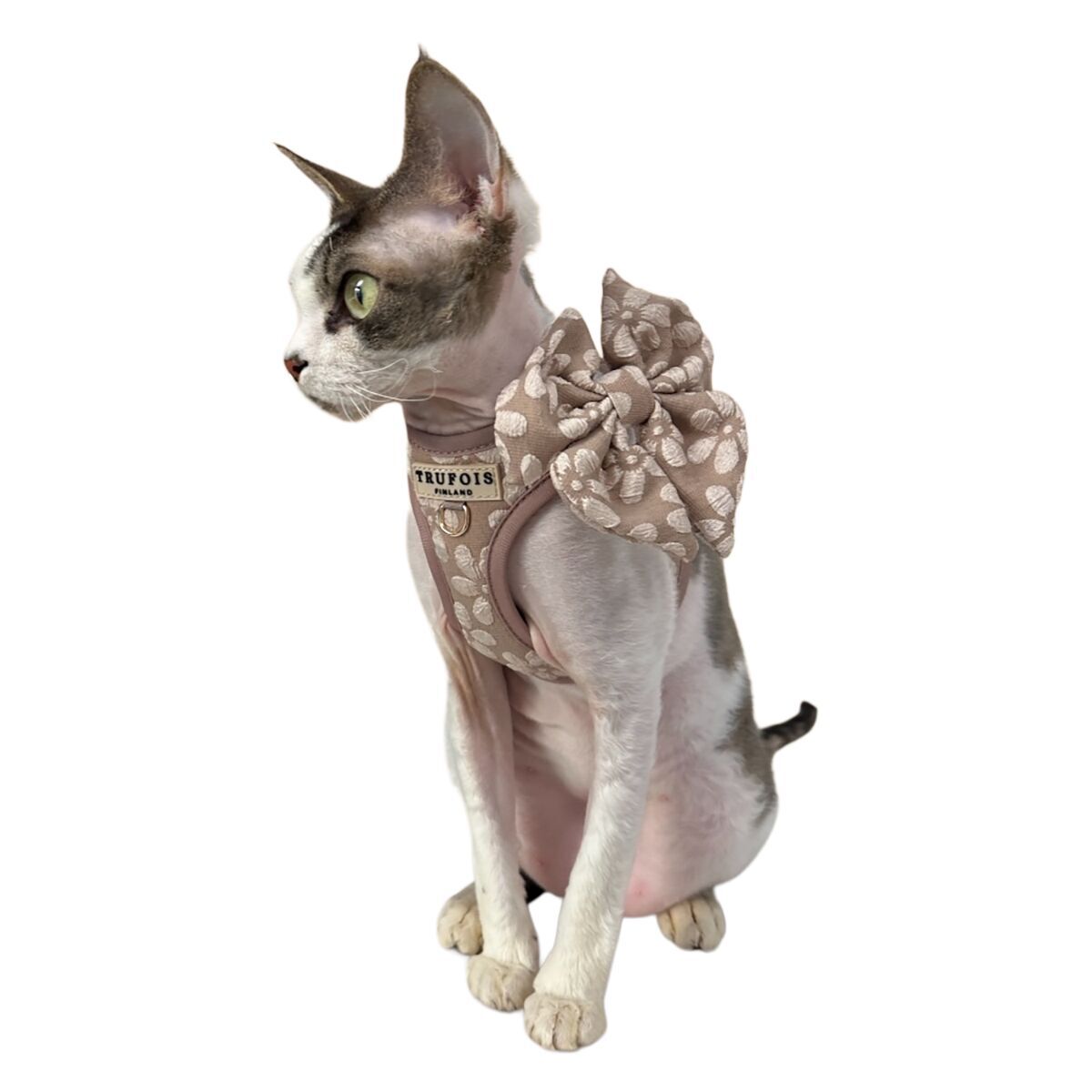 Trufois Sailor Bow Chai