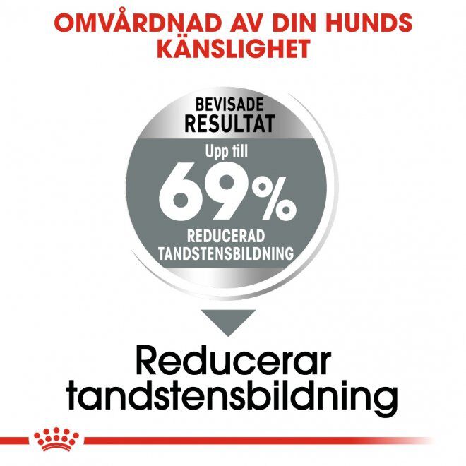 Royal Canin Dental Care Mini Adult torrfoder för hund
