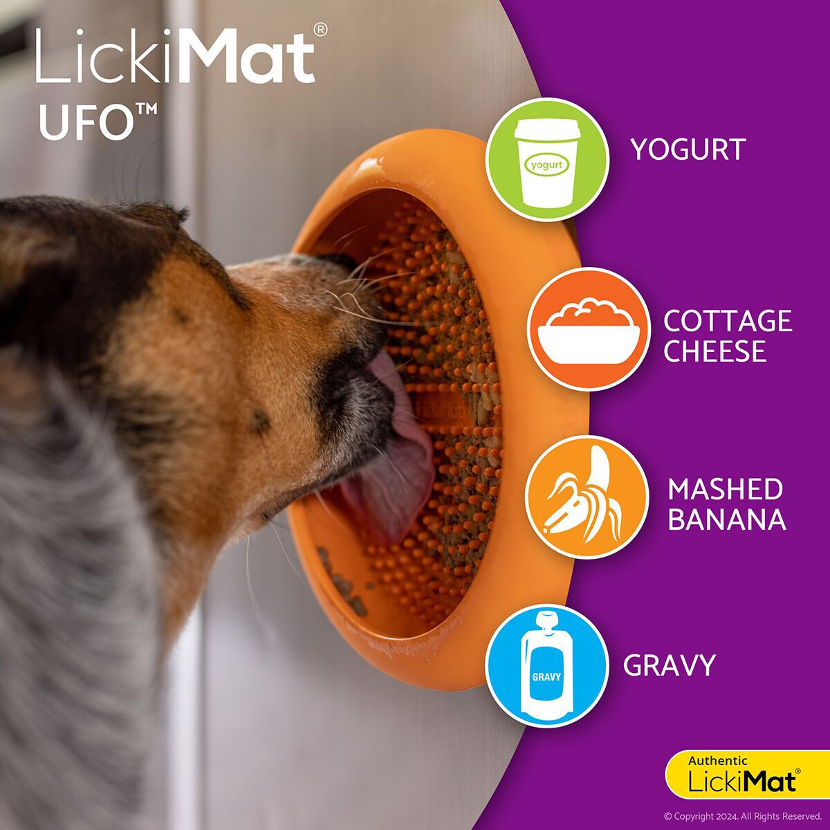 LickiMat UFO Dog
