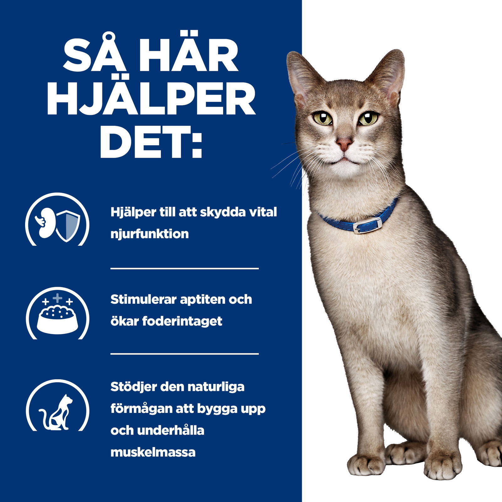 Hills Diet Cat k/d Salmon Portionspåse 12x85g