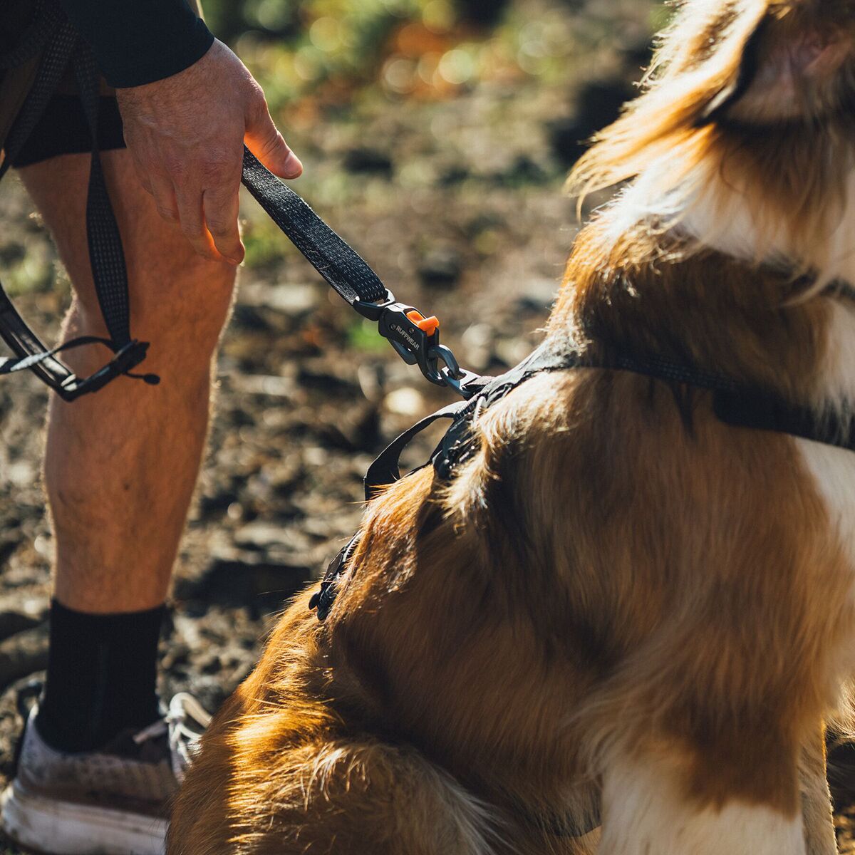 Ruffwear Ridgeline Leash