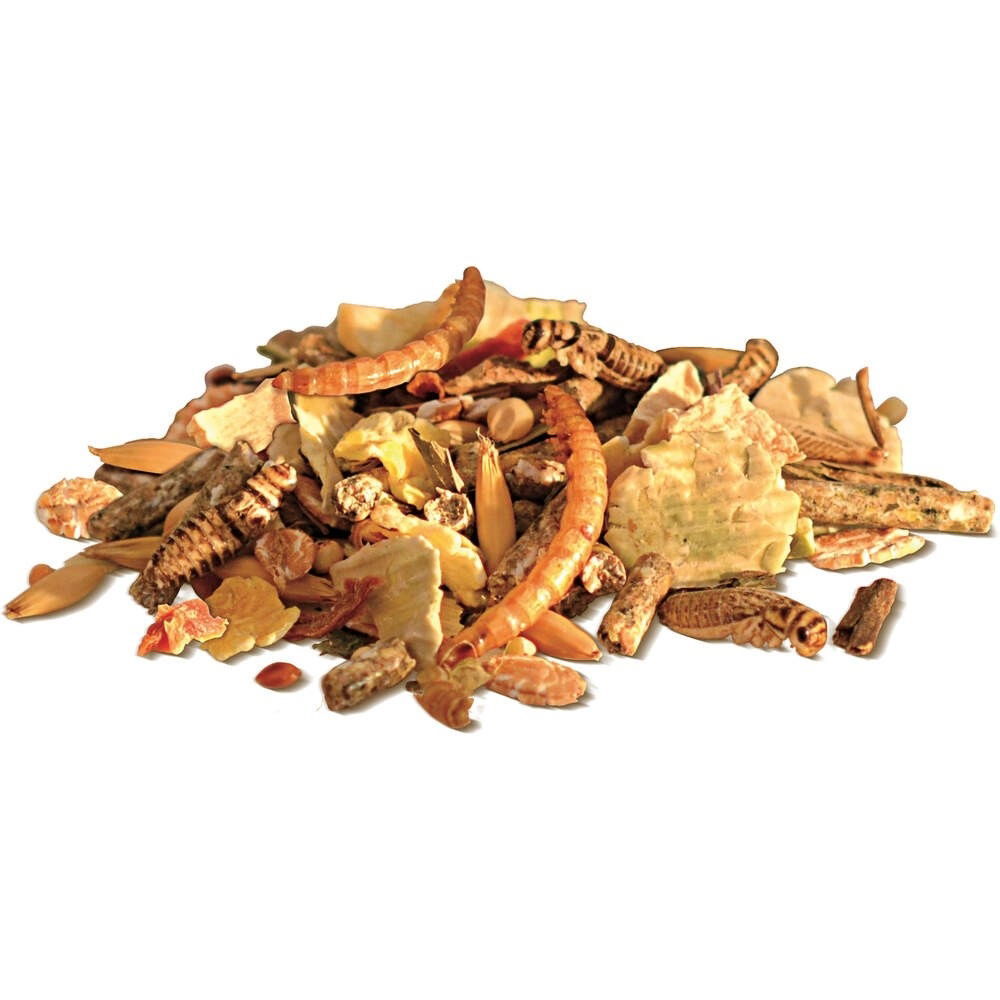 Bunny GerbilDream Basic