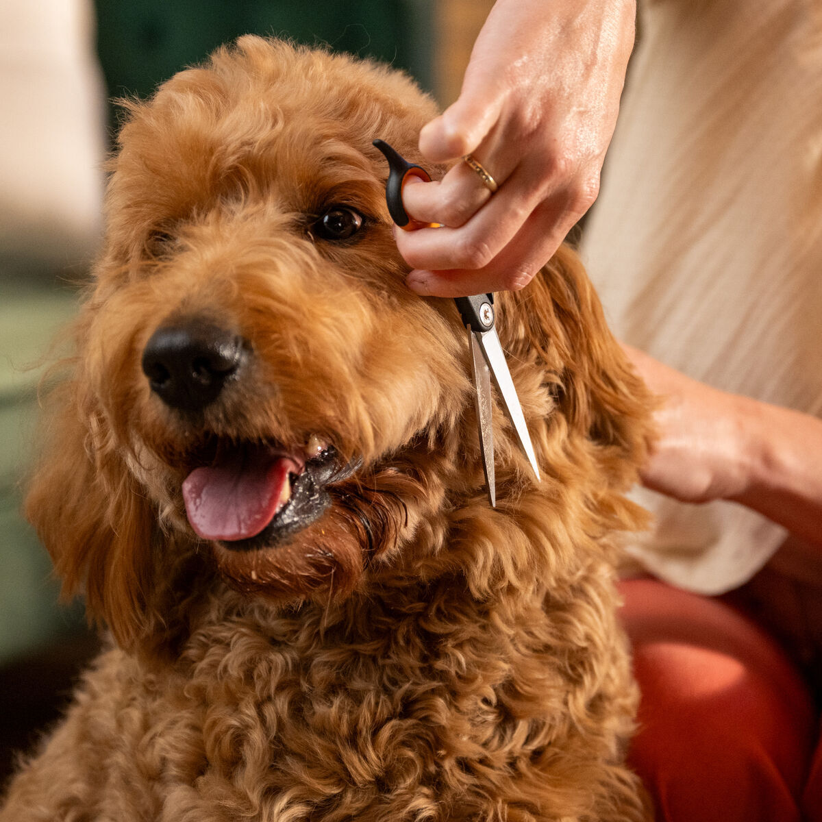 Fiskars trimming scissors